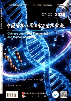 中国生物化学与分子生物学报封面